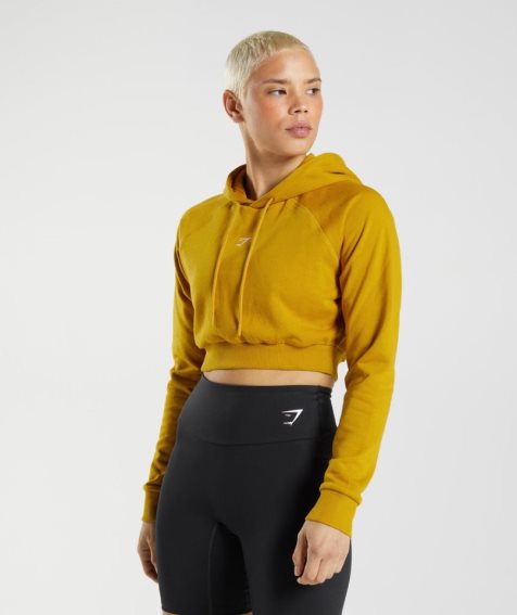 Women's Gymshark Training Cropped Hoodie Yellow | NZ 7IVRMT